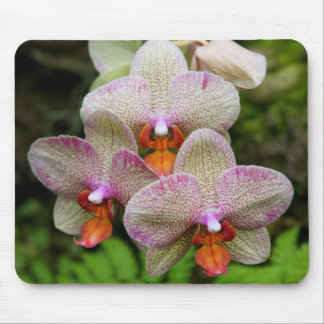 Alfombrilla De Ratón Mousepad - orquídea