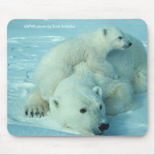 Alfombrilla De Ratón Mousepad/oso polar y Cub