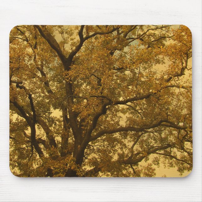 Alfombrilla De Ratón Mousepad Otumn Massive Tree Yellow (Frente)