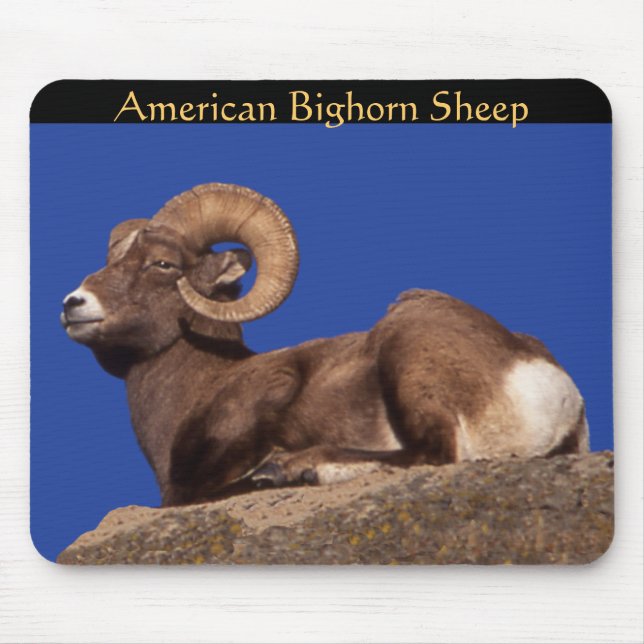 Alfombrilla De Ratón Mousepad ovino americano (Frente)