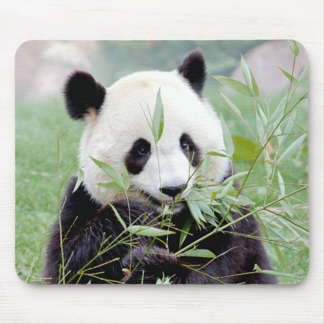 Alfombrilla De Ratón Mousepad. Panda gigante de la foto. Panda geant. (Frente)