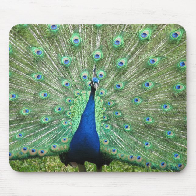 Alfombrilla De Ratón Mousepad - Peacock (Frente)