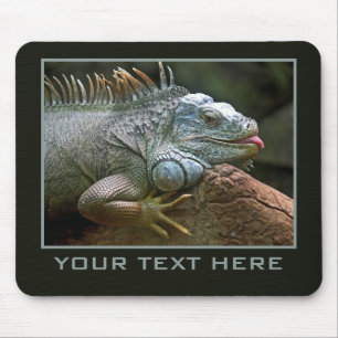 Alfombrilla De Ratón Mousepad personalizado de Iguana