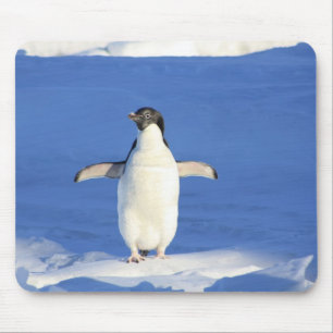 Alfombrilla De Ratón Mousepad - Pingüino