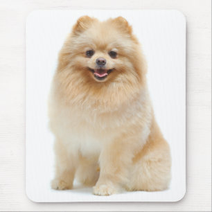 Alfombrilla De Ratón Mousepad porcino porcino