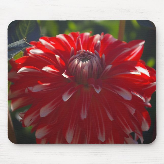 Alfombrilla De Ratón Mousepad rojo de la flor (Frente)