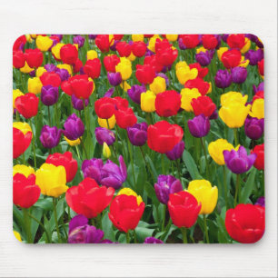 Alfombrilla De Ratón Mousepad rojo, púrpura, amarillo del tulipán