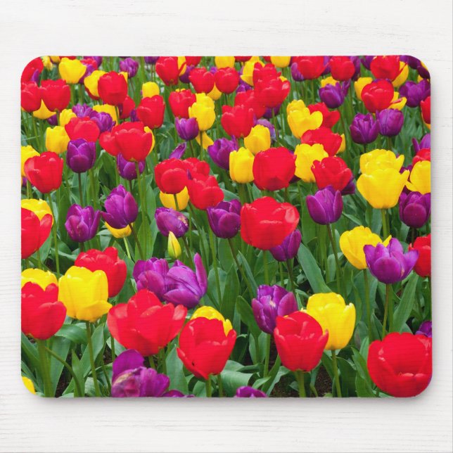 Alfombrilla De Ratón Mousepad rojo, púrpura, amarillo del tulipán (Frente)