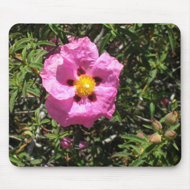 Alfombrilla De Ratón Mousepad - Rosa de rock mexicano (Frente)