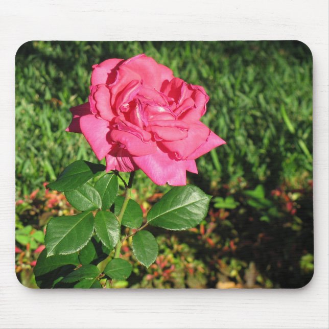 Alfombrilla De Ratón Mousepad rosa rosa (Frente)