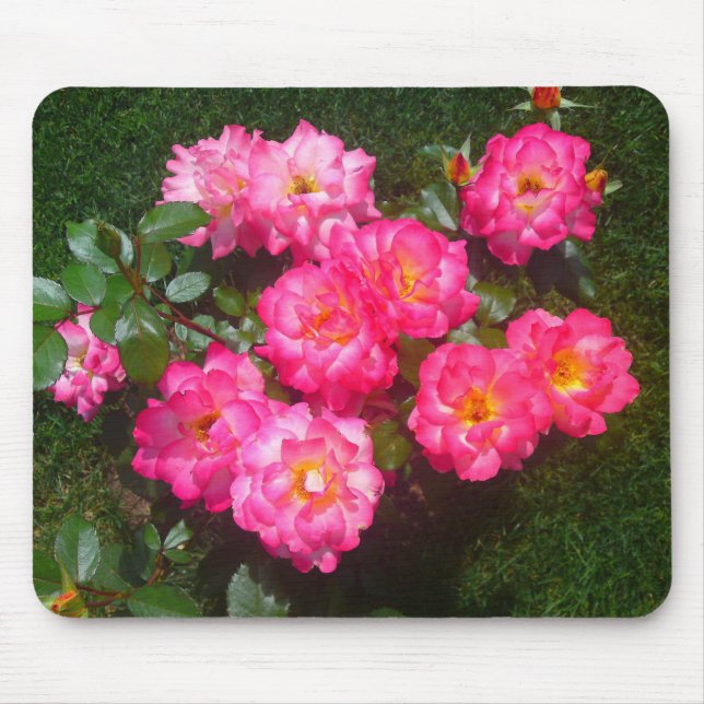 Alfombrilla De Ratón Mousepad, Rosa rosa caliente (Frente)