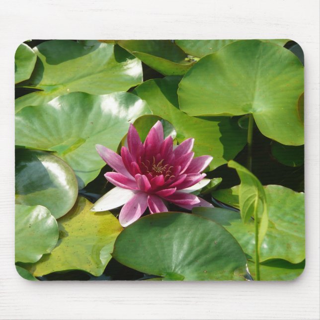 Alfombrilla De Ratón Mousepad rosado del lirio de agua (Frente)