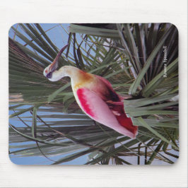 Alfombrilla De Ratón Mousepad roseate Spoonbill