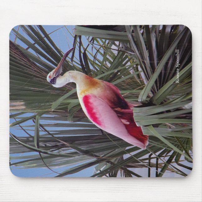 Alfombrilla De Ratón Mousepad roseate Spoonbill (Frente)