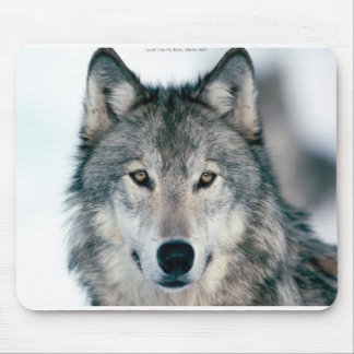 Alfombrilla De Ratón Mousepad solitario del lobo gris