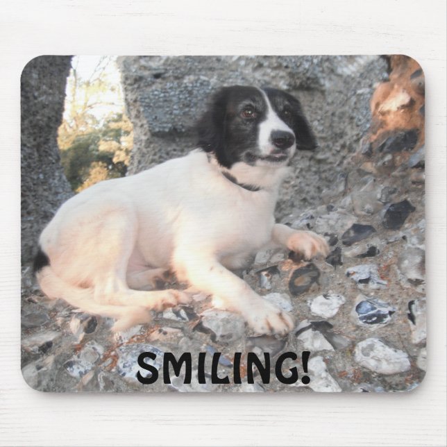 Alfombrilla De Ratón Mousepad Sprollie Visitando Castillo Sonriente (Frente)