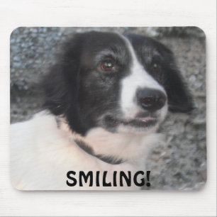Alfombrilla De Ratón Mousepad Sprollie Visitando Castillo Sonriente