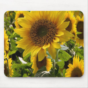 Alfombrilla De Ratón Mousepad Sunflower