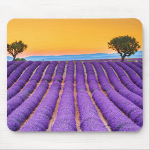 Alfombrilla De Ratón Mousepad Valensole- Provence Francia