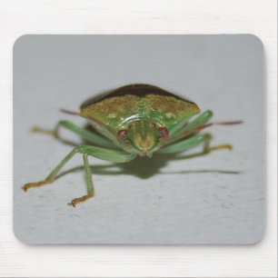 Alfombrilla De Ratón Mousepad verde del insecto del hedor