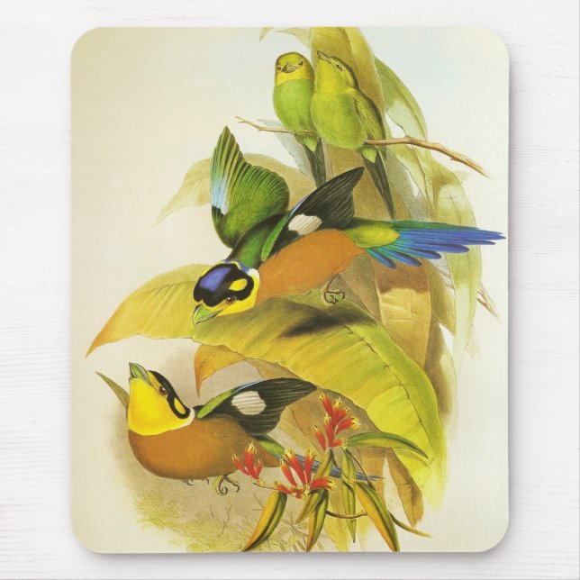 Alfombrilla De Ratón Mousepad Vintage Birds (Frente)