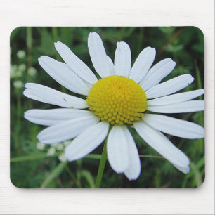 Alfombrilla De Ratón Mousepad weisse Margeritenblüte