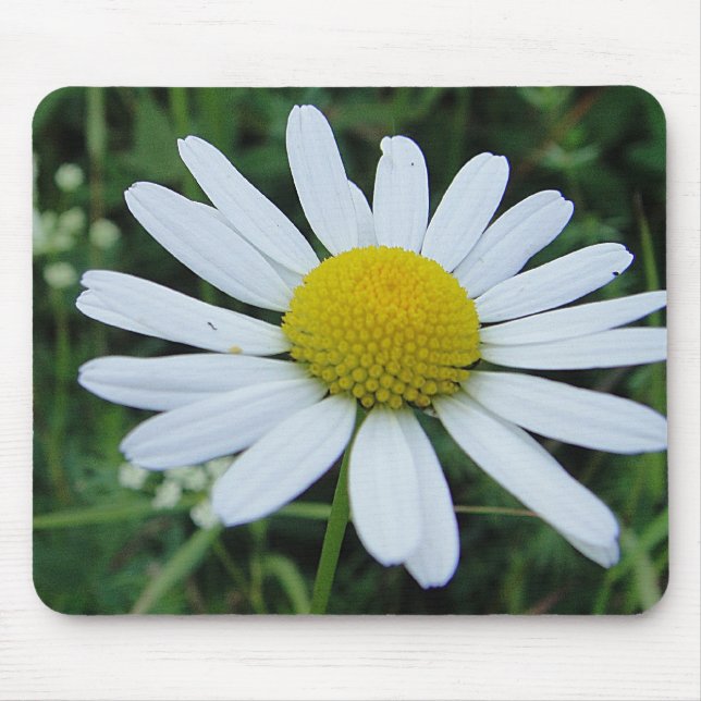 Alfombrilla De Ratón Mousepad weisse Margeritenblüte (Frente)