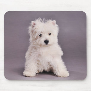 Alfombrilla De Ratón Mousepad westie