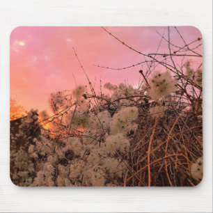 Alfombrilla De Ratón Mousepad Winter Sunset Y Clematis Vines