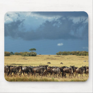 Alfombrilla De Ratón Mousepads azules de Mara del Masai de la migració