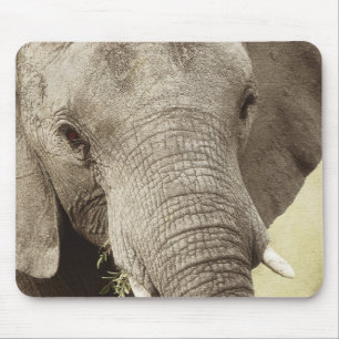 Alfombrilla De Ratón Mousepads del safari de la fauna del elefante