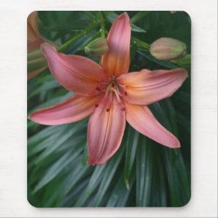 Alfombrilla De Ratón Mousepads rosados de la fotografía de la flor del