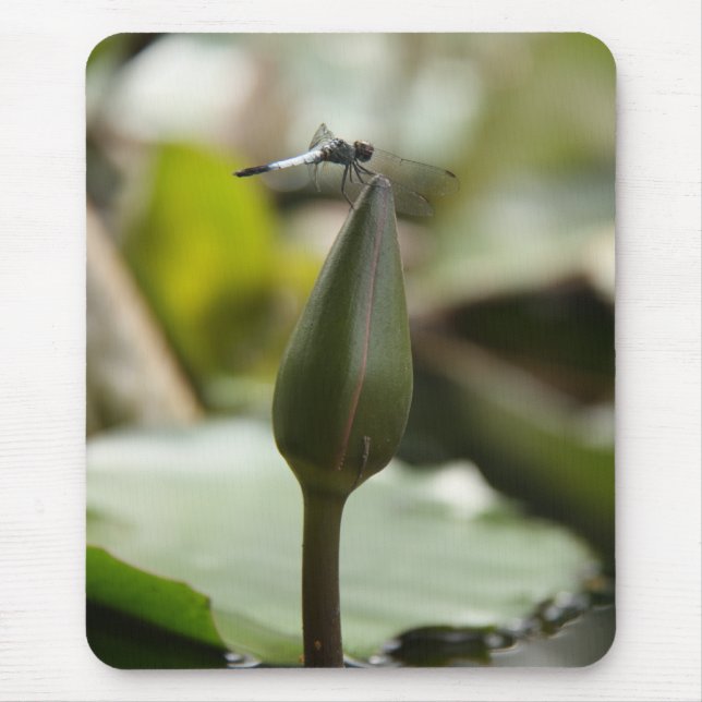 Alfombrilla De Ratón Mousepta de la libélula (Frente)