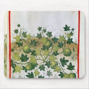 Alfombrilla De Ratón Ms 3054 melones fol.20, de 'Tacuinum Sanitatis