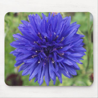Alfombrilla De Ratón Muchacho azul del Cornflower