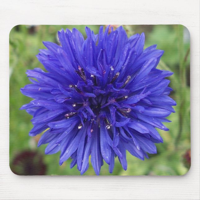 Alfombrilla De Ratón Muchacho azul del Cornflower (Frente)