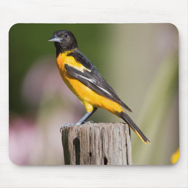 Alfombrilla De Ratón Mujer Baltimore Oriole en el jardín de flores (Frente)
