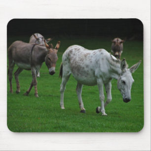 Alfombrilla De Ratón Mulas y burros Mousepad
