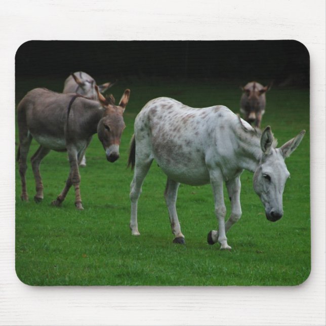 Alfombrilla De Ratón Mulas y burros Mousepad (Frente)