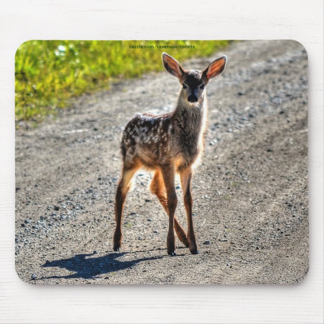 Alfombrilla De Ratón Mule Deer Fawn Baby Animal Wildlife Photo (Frente)