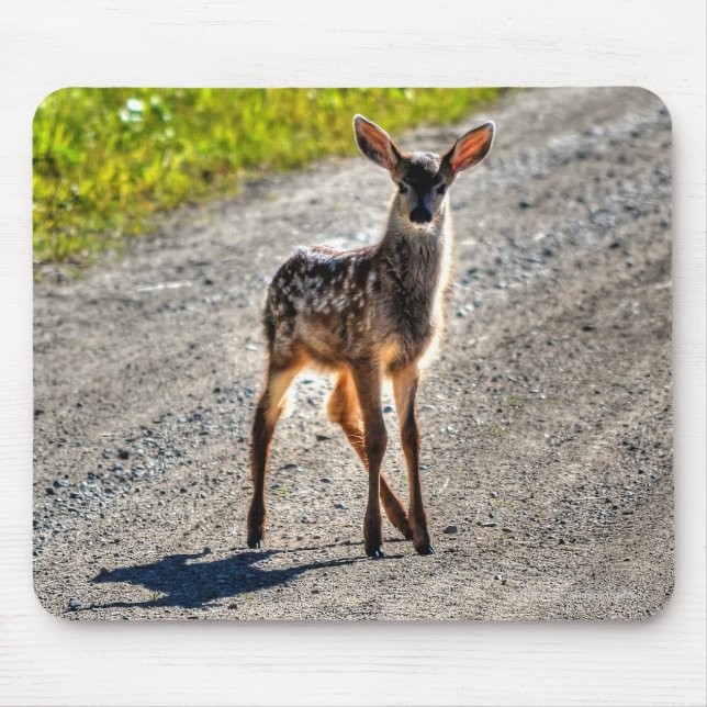 Alfombrilla De Ratón Mule Deer Fawn Baby Animal Wildlife Photo (Frente)