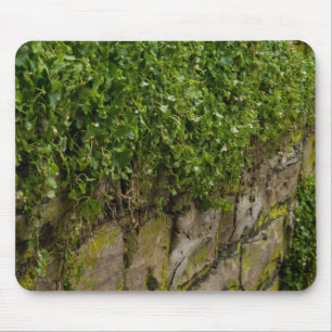 Alfombrilla De Ratón Muro De Ivy