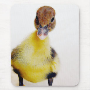 Alfombrilla De Ratón Muscovy Duckling