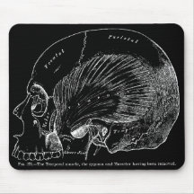 Músculo temporal humano del dibujo médico del