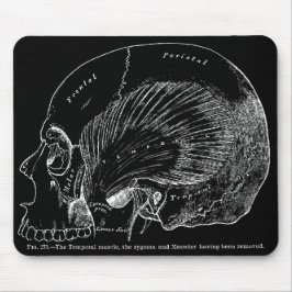 Alfombrilla De Ratón Músculo temporal humano del dibujo médico del