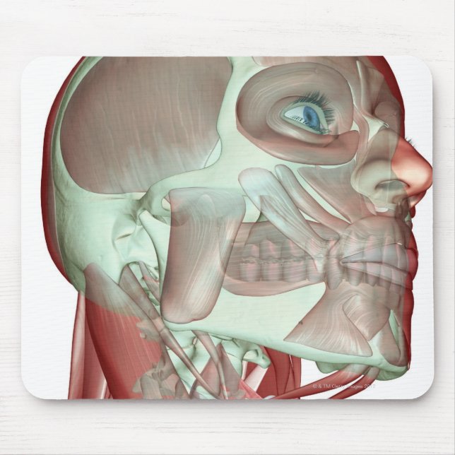 Alfombrilla De Ratón Musculoesqueleto de la cabeza y el cuello 3 (Frente)