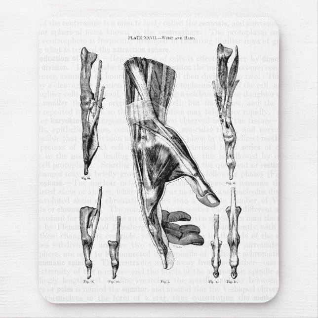 Alfombrilla De Ratón Músculos del arte de la anatomía de época de la mu (Frente)