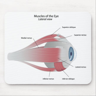 Alfombrilla De Ratón Músculos del ojo Mousepad