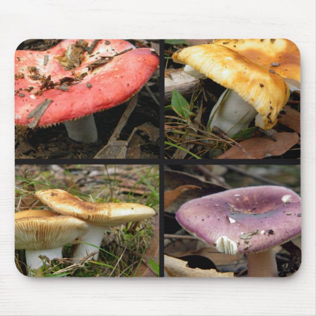 Alfombrilla De Ratón Mushrooms Mousepad (Frente)