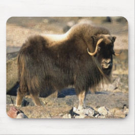 Alfombrilla De Ratón Musk Ox Mousepad